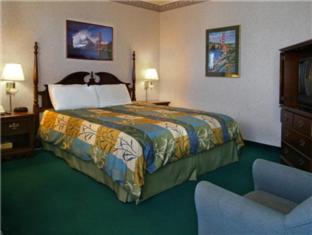 Room #5585407